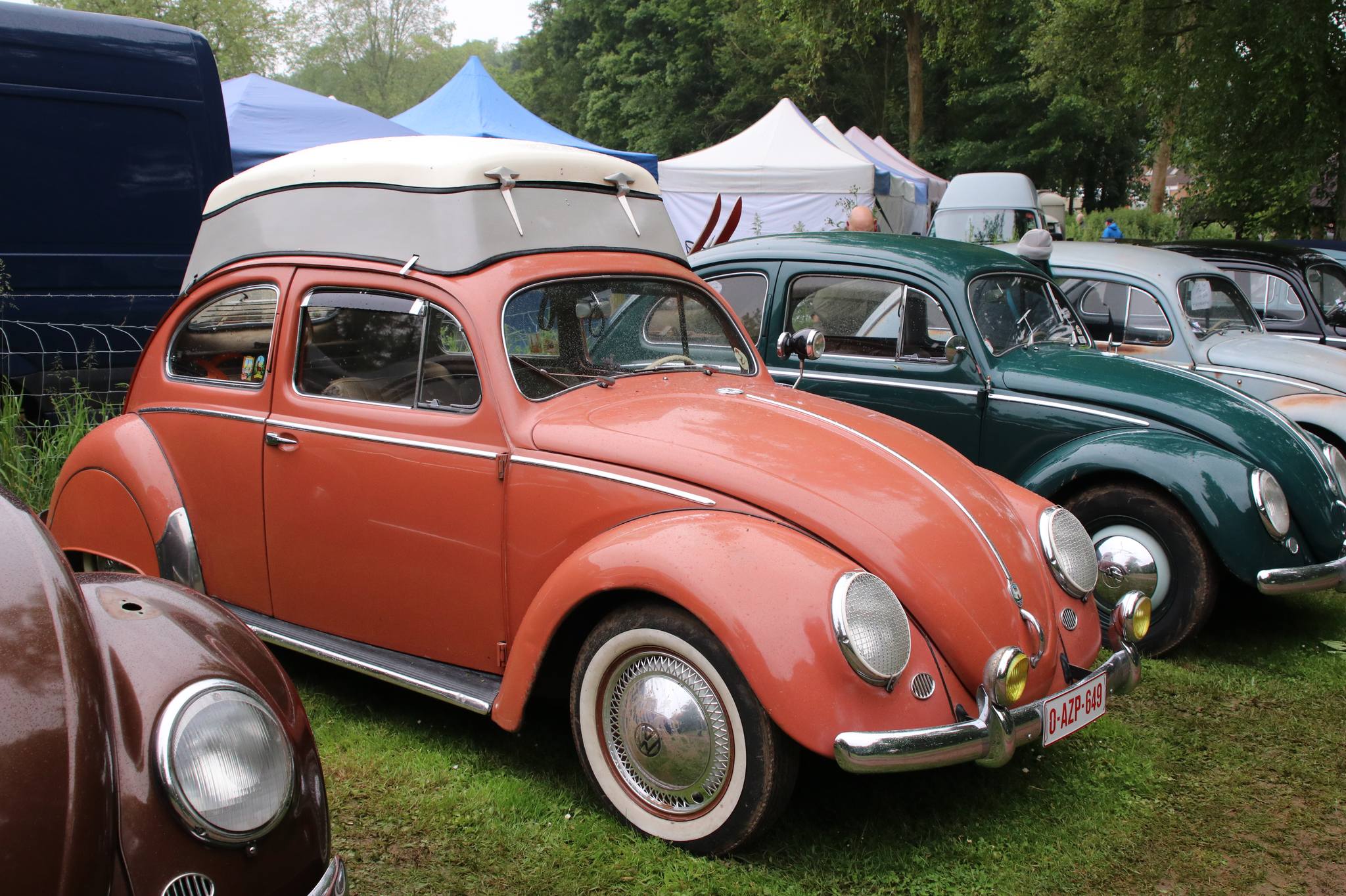 417410535 10230033517569478 6983041197208946426 N